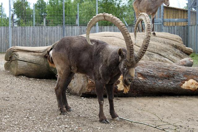 Tallinn Zoo